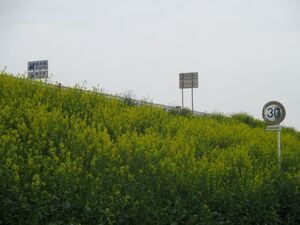 県道9号線に立つ栃木県栃木市の看板の写真