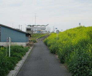 栃木県栃木市側から埼玉県加須市側の道の駅方向を見た写真